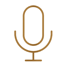 Original recordings icon